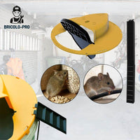 Piège à Souris Efficace et Bienveillant | EasyMouse™ - Bricolo-Pro